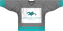 Icehockey-Turtle