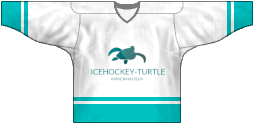 Icehockey-Turtle