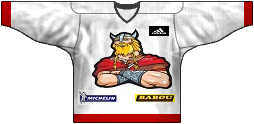 hockey auberland viking