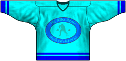 Team jersey