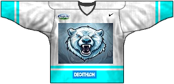 hc st patrick ice Bear