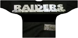 Camiseta Txuribeltz Raiders