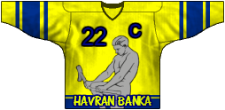 HC Havran Banka