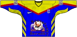 Camiseta del equipo