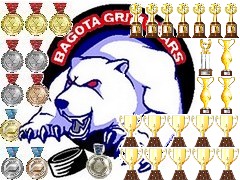 Logo zespołu BAGOTA Grim Bears