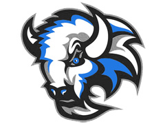 Meeskonna logo HC Bizons Nitra