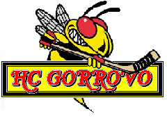 Логотип команды HC Gorrovo