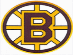 Csapat logo Teplice bruins