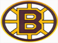 Логотип команды Teplice bruins