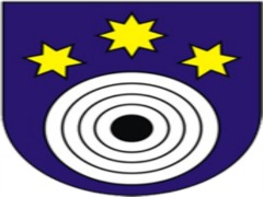 Logotipo do time HC Šajba