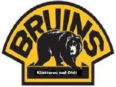 Лого на тимот HC BRUINS KnO