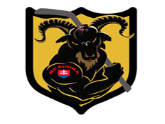 Logotipo do time HC ŠUNKA