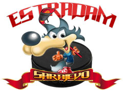 Team logo
