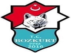 Логотип команды BOZKURT