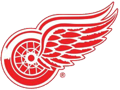 Komandos logotipas Detroit Red Wings