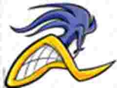 Team logo Pforzheim Roadrunners