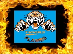 Komandos logotipas Tigers Flames