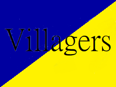 Takım logosu HC Villagers