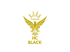 Takım logosu HC BLACK 13