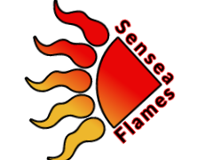 Logotipo do time SenseaFlames