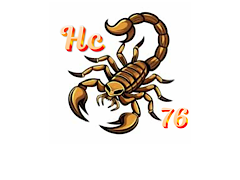 Team logo