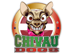 Логотип команды chivau-vass