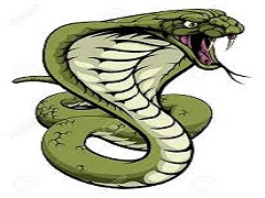 Meeskonna logo Les Cobras cassés
