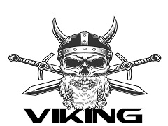 Логотип команды HK VIKING