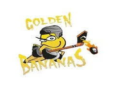 Ekipni logotip IHC Golden Bananas