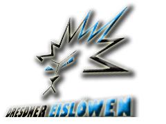 Team logo Black Eislöwen