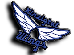 Lencana pasukan Kinzigtal-Wings