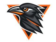 Emblema echipei Black Crows Košice