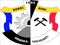 Komandas logo HC Minerul Mehedinti