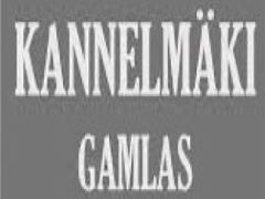 Komandas logo HC Kannelmäki