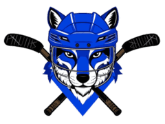 Meeskonna logo