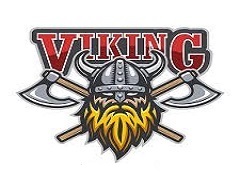 Ekipni logotip DELTA-VIKING