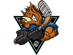 Team logo RHCPA Goaltending Academy