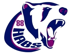 Logo della squadra go habs go