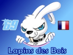 Логотип команды les lapins Robinson