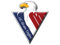 Ekipni logotip HC Slovan Eagles