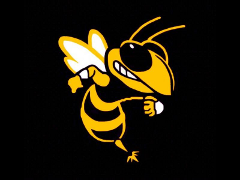 Teamlogo Hintertupfing Hornets