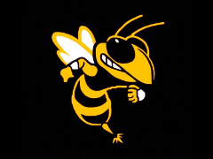 לוגו קבוצה Hintertupfing Hornets