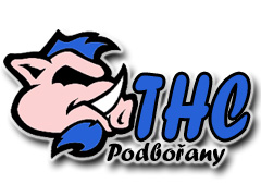 Logo Týmu