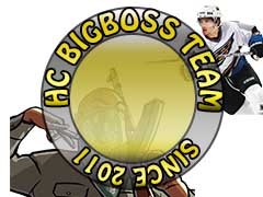 Logo zespołu HC 1.Bigboss team Pirates