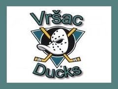 Лого тима Vrsac Ducks