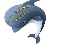 Komandas logo HC Bob Team