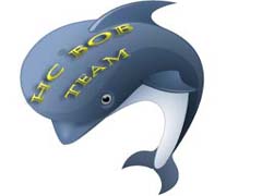 Holdlogo HC Bob Team