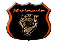 Komandos logotipas Putte Bobcats