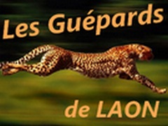 Csapat logo Les Guépards