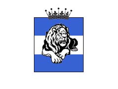 Logo tímu Waidhofen Lions